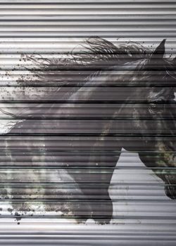 UPINK_HIPPODROME_24_006